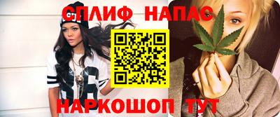 прущие грибы Комсомольск-на-Амуре
